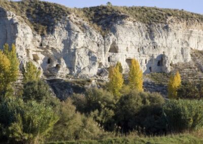 Las Hafas de Benamaurel